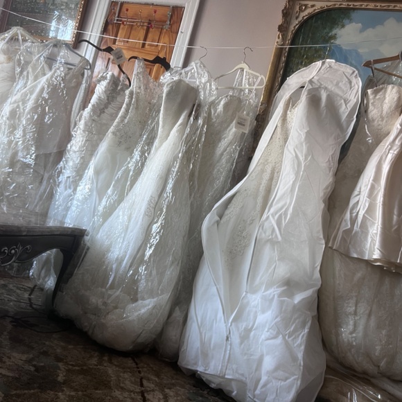 Wedding Gowns - Picture 11 of 11